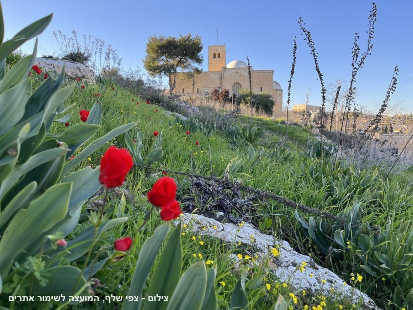מבט אל הכנסייה הסקוטית (צילום: באדיבות צפי שלף - אדריכלית המועצה לשימור אתרים)