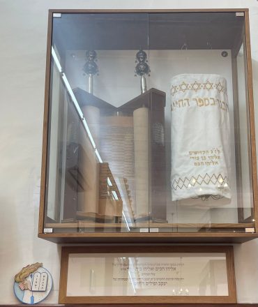 הספר מטנג'יר שבמרוקו (צילום: רחל סדן)