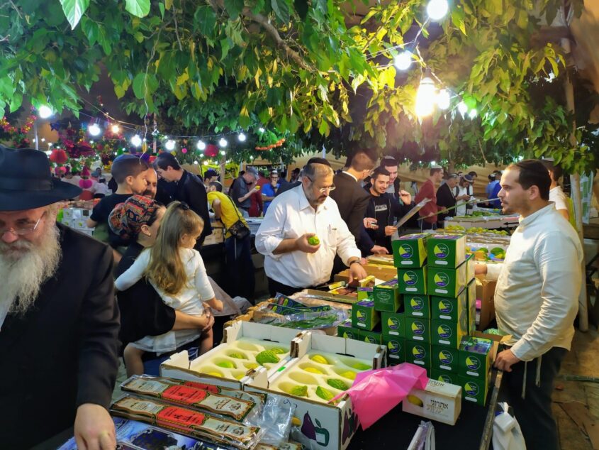 שוק ארבעת המינים (צילום: אילן כהן)