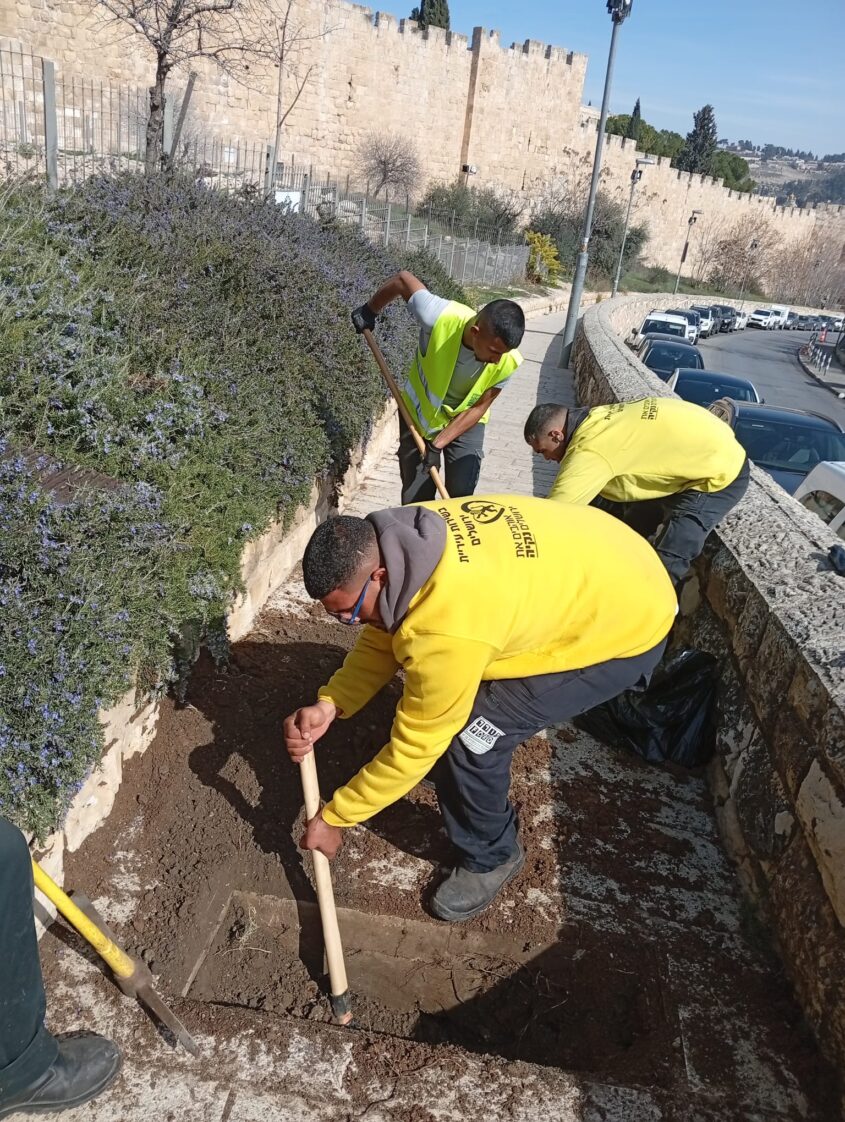בור ניקוז או אתר קבורה? (צילום: באדיבות אריה קינג)
