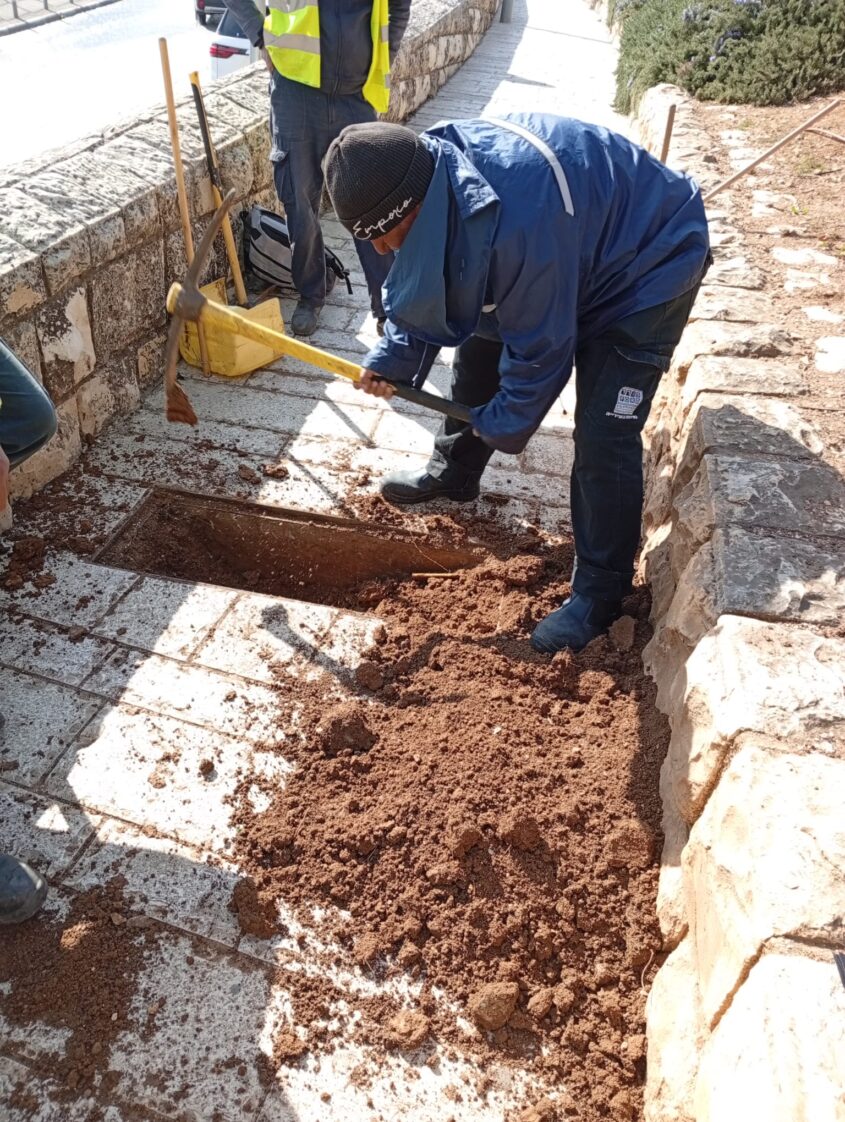 בור ניקוז או אתר קבורה? (צילום: באדיבות אריה קינג)