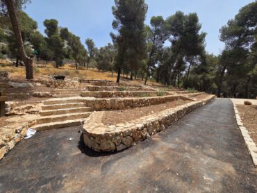 יער קהילתי הר נוף המחודש (צילום: איילת בר עקיבא)