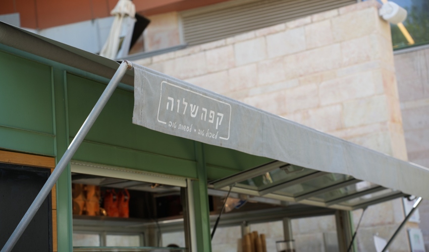 "שלוה טראק" (צילום: X media)