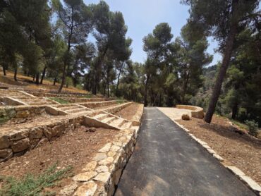 היער הקהילתי הר נוף (צילום: איילת בר עקיבא)