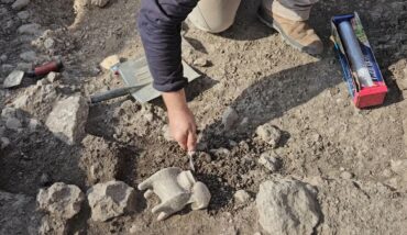 כלי הפולחן דמוי האיל כפי שהתגלה בשטח (צילום: ברק צין רשות העתיקות)