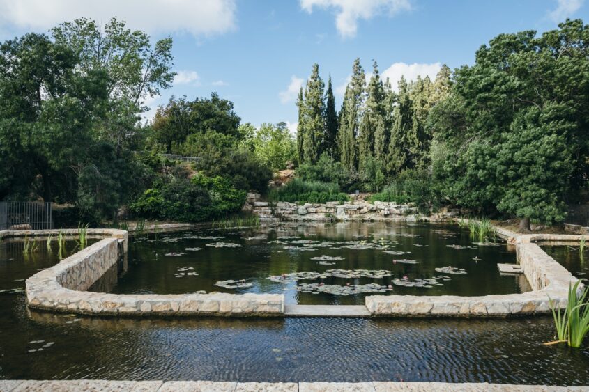 גן הורדים (צילום: דוברות עיריית ירושלים)