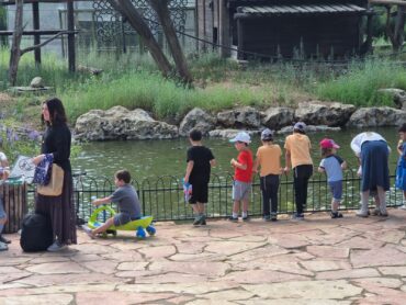 מהיום המיוחד לילדים עם מוגבלות בגן החניות התנ"כי (צילום: (צילום: אגף רווחה עיריית ירושלים)