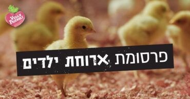 מתוך הפרסומת ״ארוחת ילדים״ (צילום: ויגן פרנדלי)