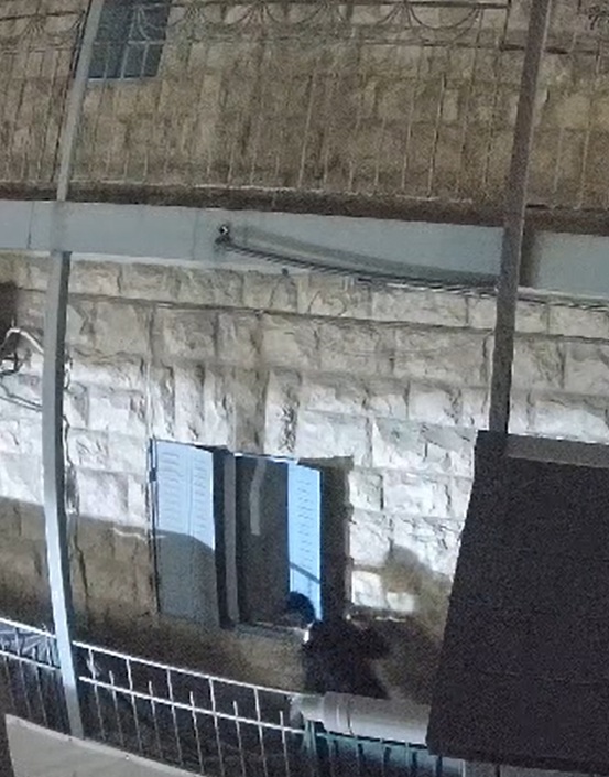 מציצן בנחלאות (צילום מתוך מצלמות אבטחה)