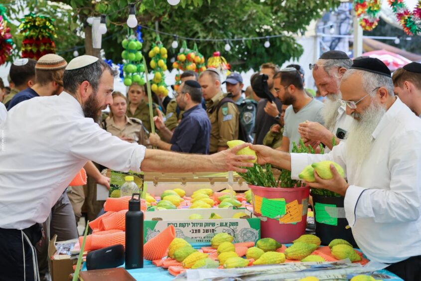 שוק ארבעת המינים בירושלים (צילום: ארנון בוסאני)