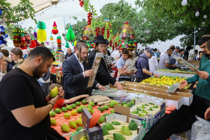 שוק ארבעת המינים בירושלים (צילום: ארנון בוסאני)