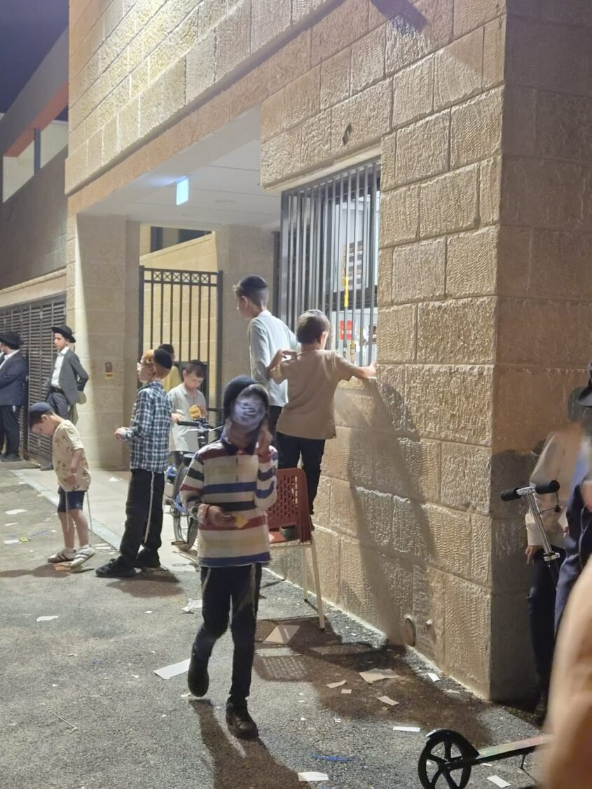 הוונדליזם בניסויי ארגנטינה (צילום: באדיבות המצלם)