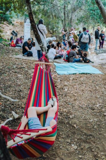 פסטיבל "ירוק בפנים ובחוץ" (צילום: יעקב גוטה)